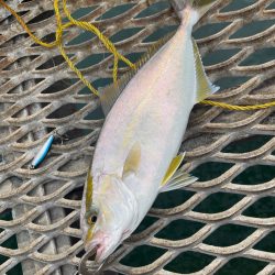 トットパーク小島で釣りたい魚全部ゲット
