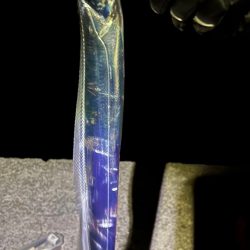 和歌山太刀魚調査