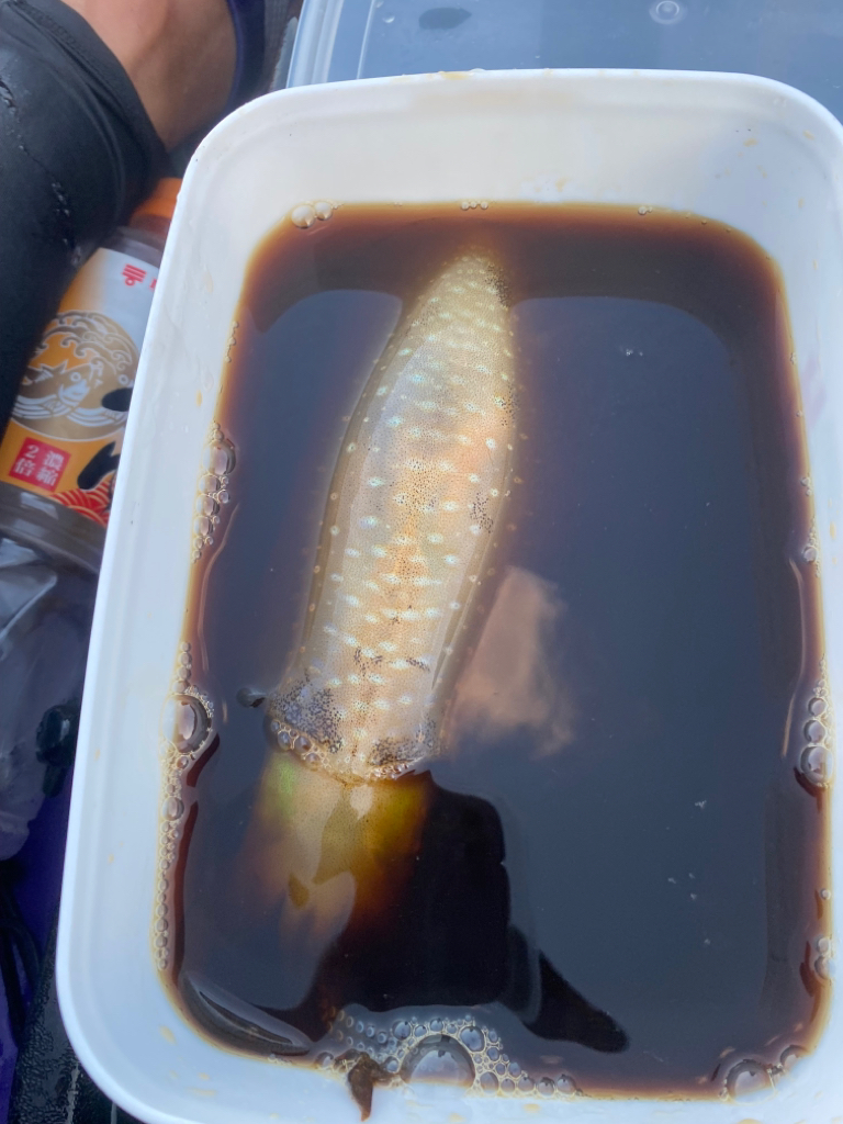 カヤックフィッシング