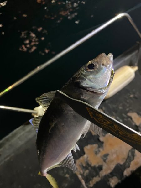 ボートアジング