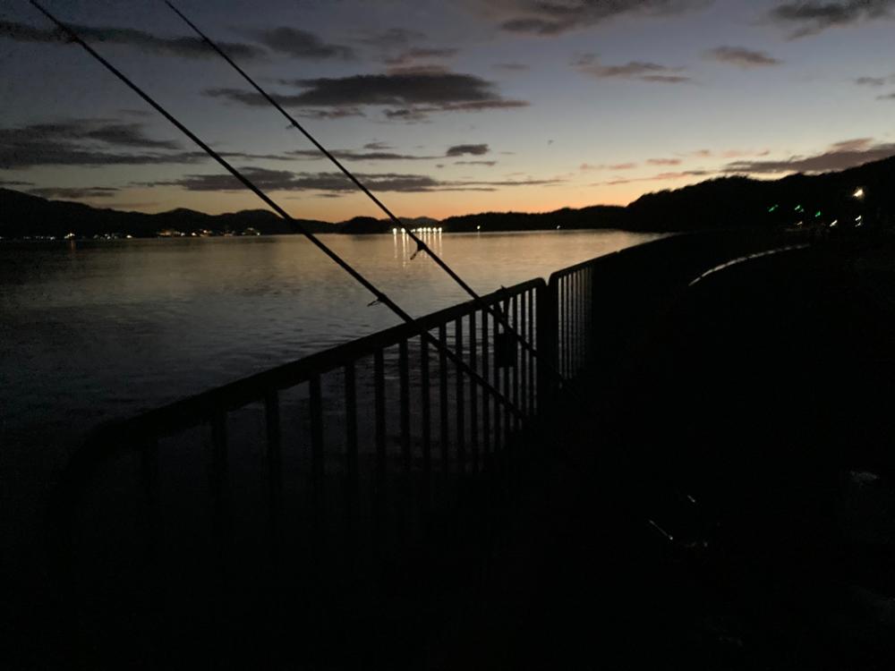 宮津へのキス釣