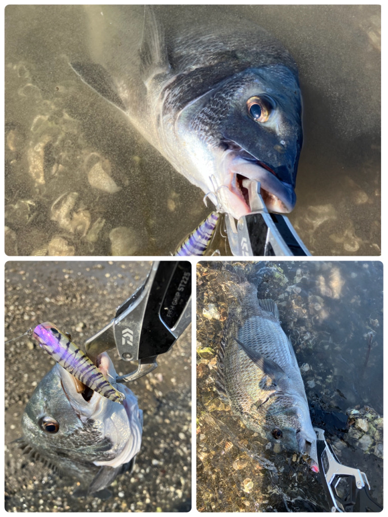 デイトップチニング