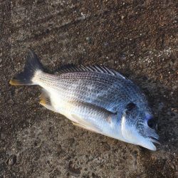 第二回雰囲気あります