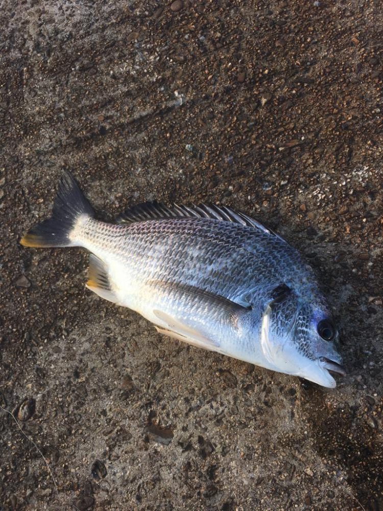 第二回雰囲気あります