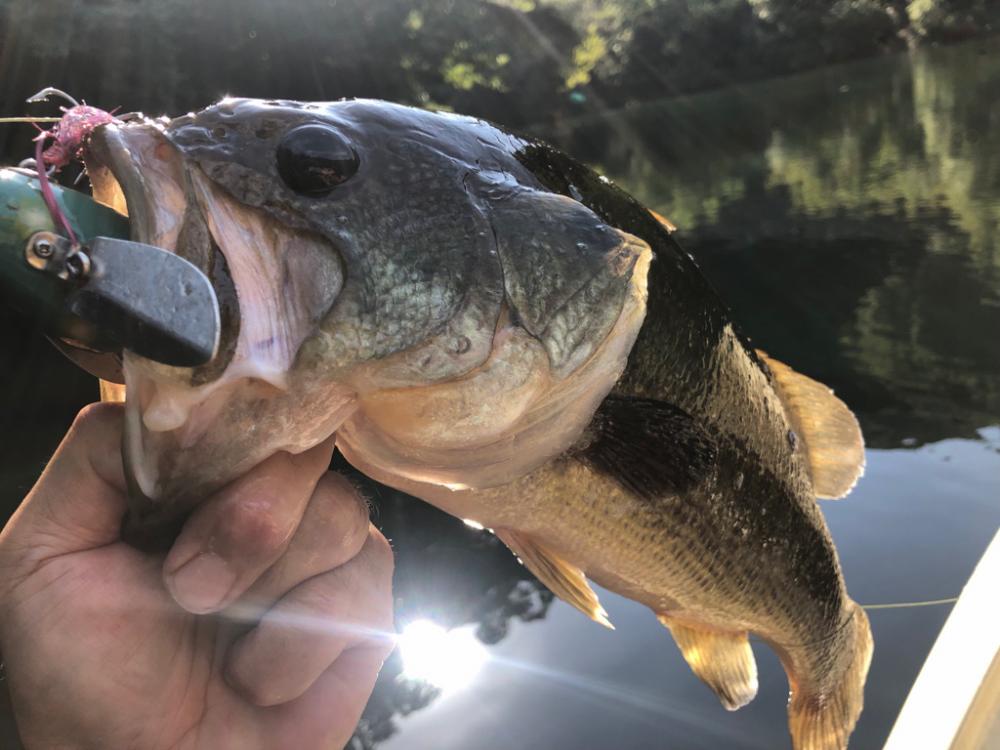 ロケーション最高なダム❣️