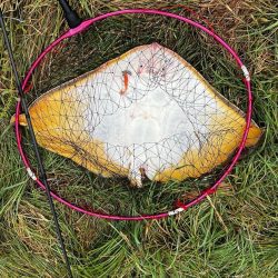 釣りキャンプ旅