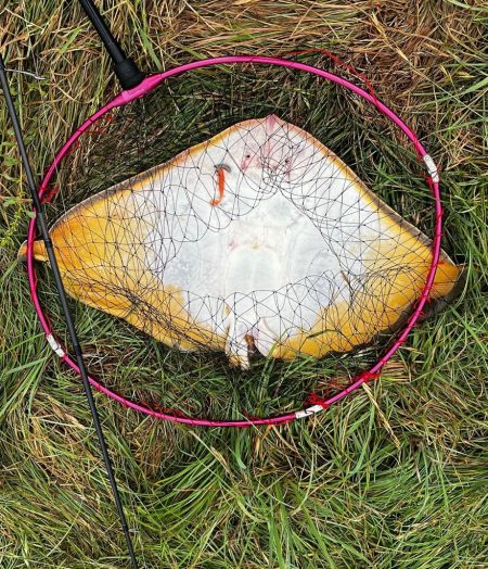 釣りキャンプ旅