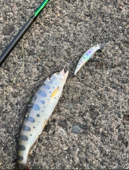 エデンで渓流！