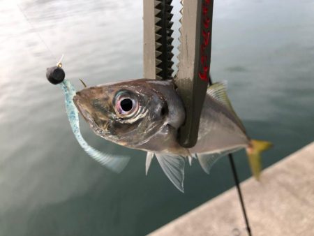 雨予報だったじゃん