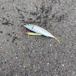 夢舞大橋下でショアジギ