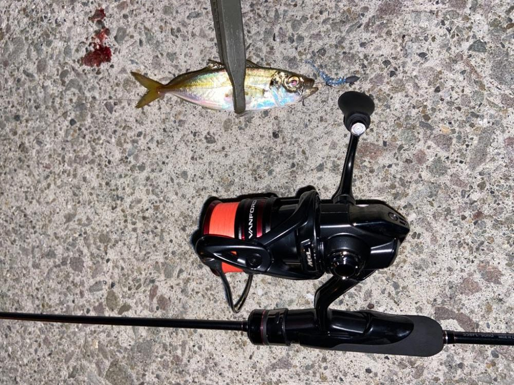 ボトムアジング