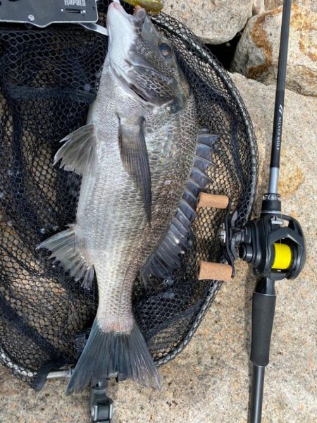 昼の淀川チニング