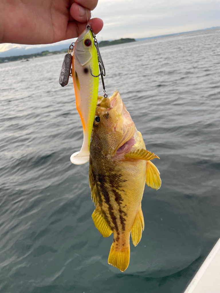 久しぶりのオフショア釣行！