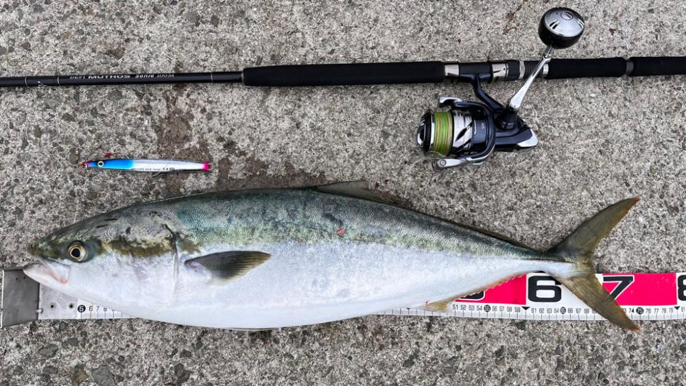 【記録更新🤓】明石ショアジギング&太刀魚