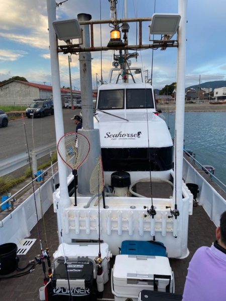 和歌山イカメタル