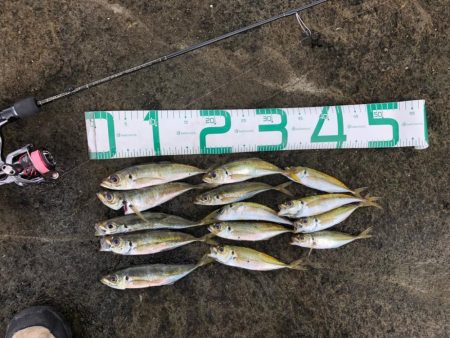 2022 佐渡ヶ島ライトゲーム&エギング