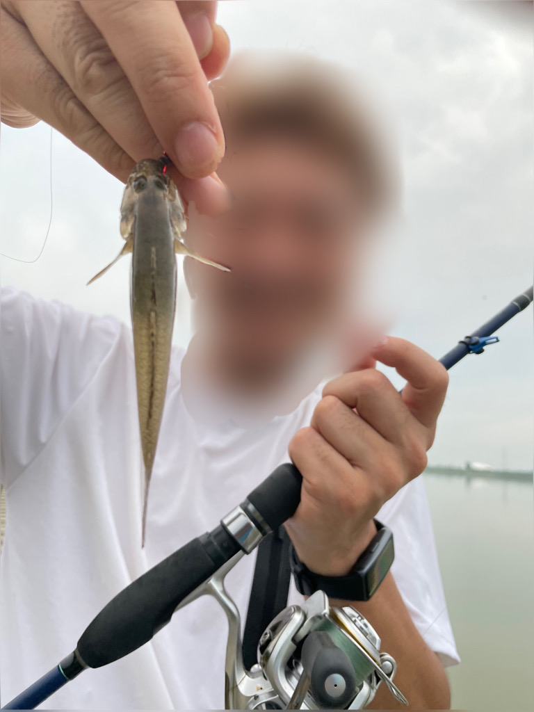 ハゼ&ウナギ釣り