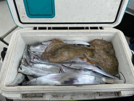 今シーズン初の船太刀魚　純栄丸
