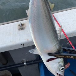 初めての乗合アジ便