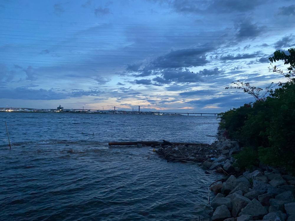 淀川ブリームゲーム