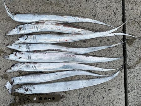 久しぶりに、、‼࿠…