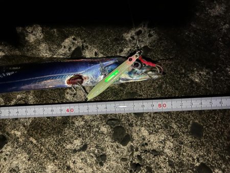 渋い日でした。