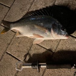 夕涼みぶっ込み