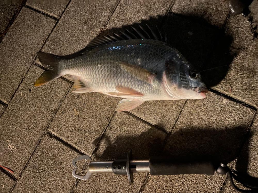 夕涼みぶっ込み