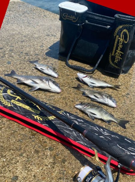 続けてがまかつ円錐ウキを使ってフカセ釣り