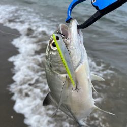 日帰り出張2回目