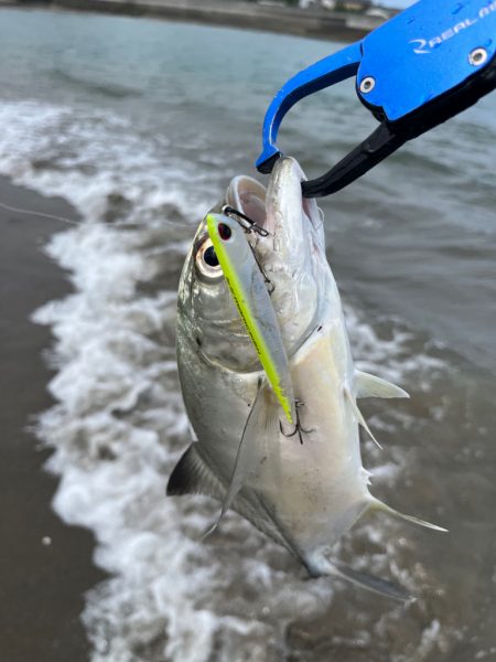 日帰り出張2回目