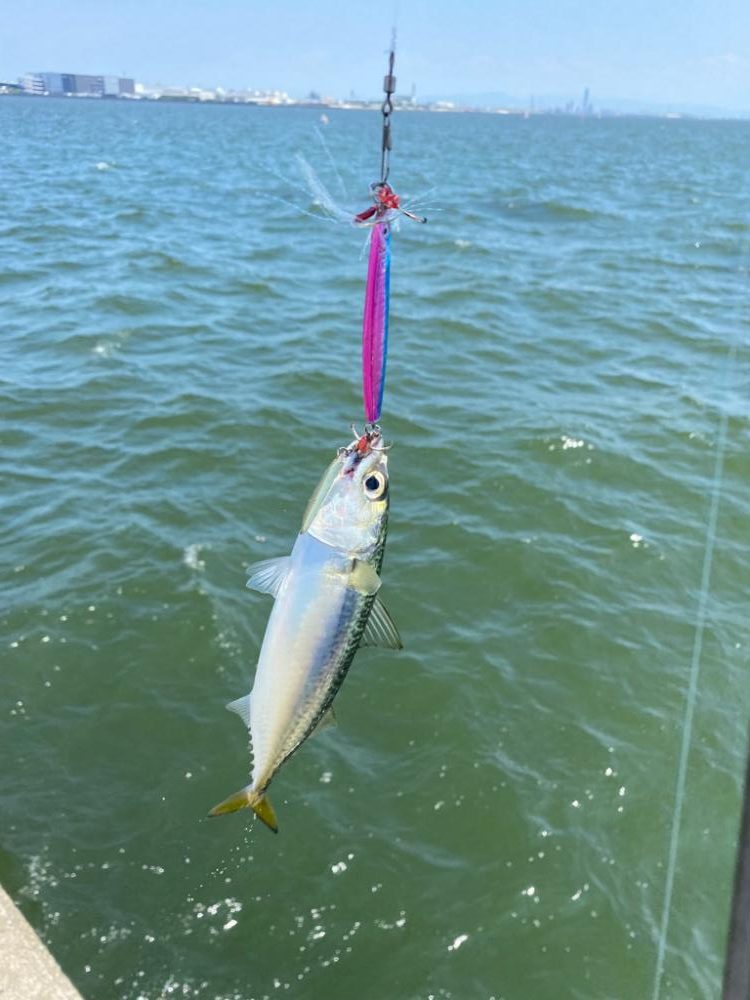 西宮ケーソンでジギング