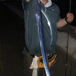 和歌山マリーナシティ大波止でタチウオ調査