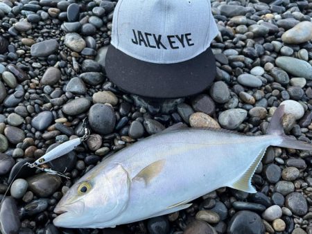 朝マズメはマキマキを手返しよく投げることが…