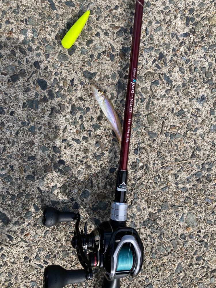 ベイトタックルでキスゲーム