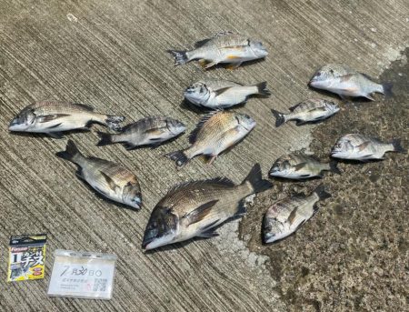 流れの変化時、連続アタリが・・・