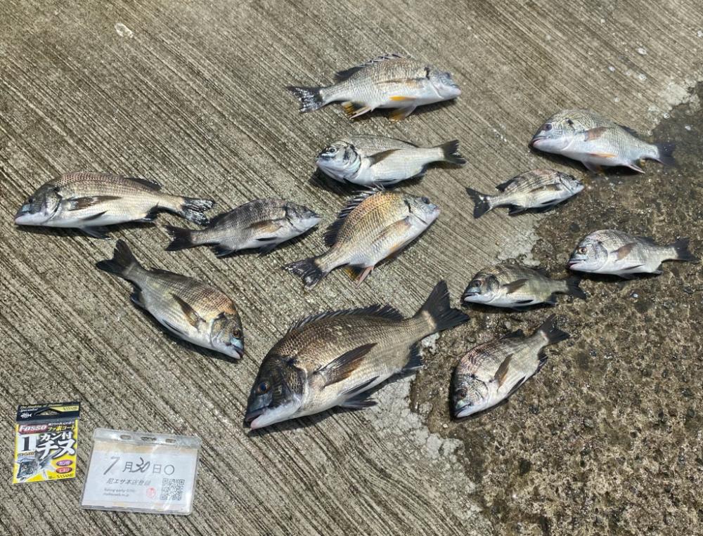 流れの変化時、連続アタリが・・・