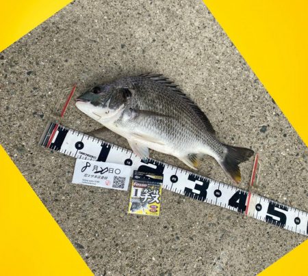 小型を釣りながら良い型を目指し