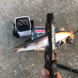 寝坊からの出発