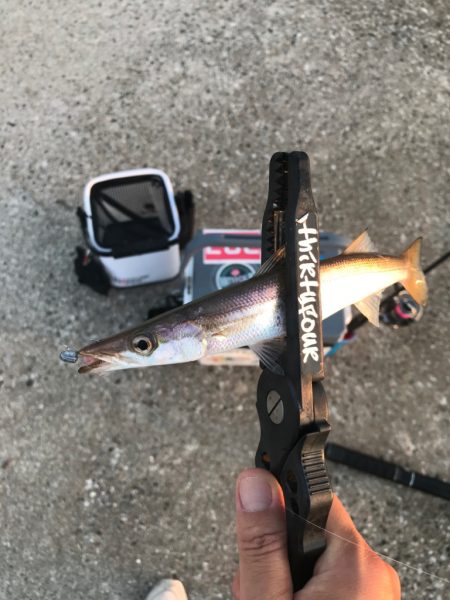 寝坊からの出発