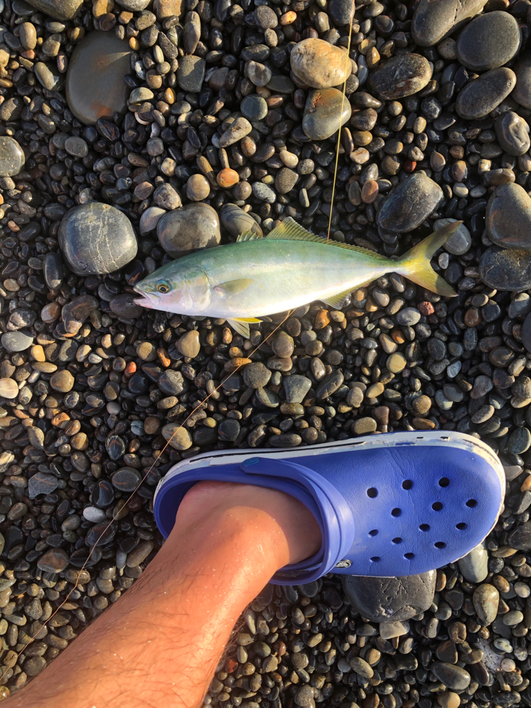 まだまだ小さいね