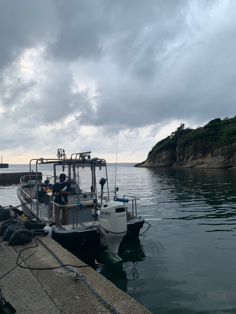 潮かなり速く…