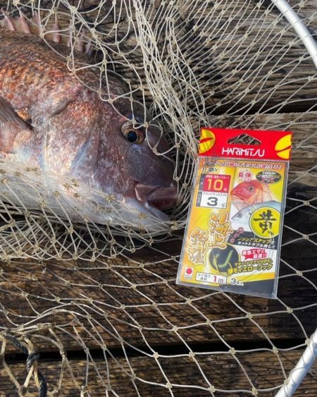 今日は良い日だ（笑）