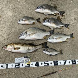 少し気温が下がり