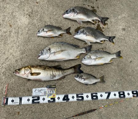 少し気温が下がり