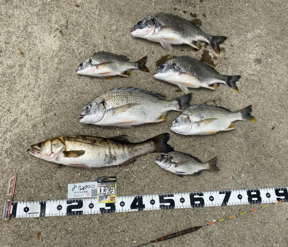 少し気温が下がり