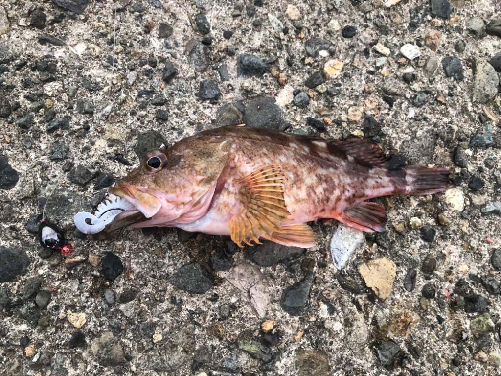 お盆の帰省 第二弾