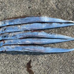 連休最終日‼️…