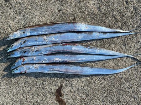 連休最終日‼️…