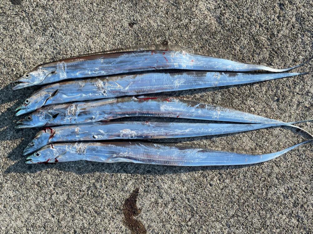 連休最終日‼️